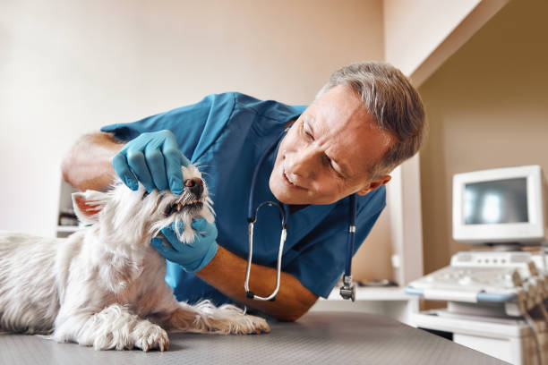 Best Tooth Pain Emergency Relief  in Drumright, OK